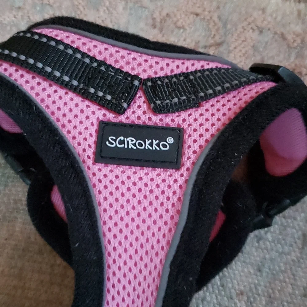 Small cat harness with matching leash NWOT